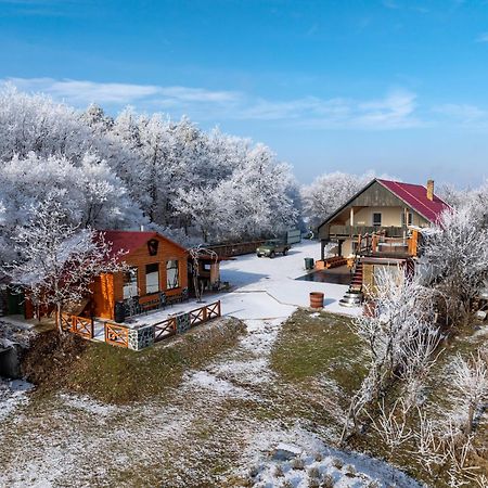 Baglyas Vendégház Villa Edelény Kültér fotó