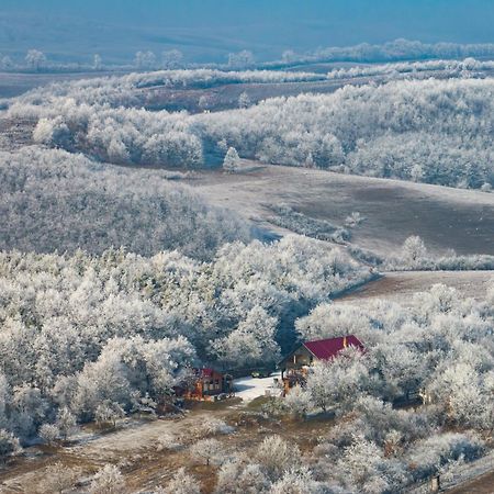 Baglyas Vendégház Villa Edelény Kültér fotó