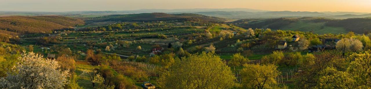 Baglyas Vendégház Villa Edelény Kültér fotó