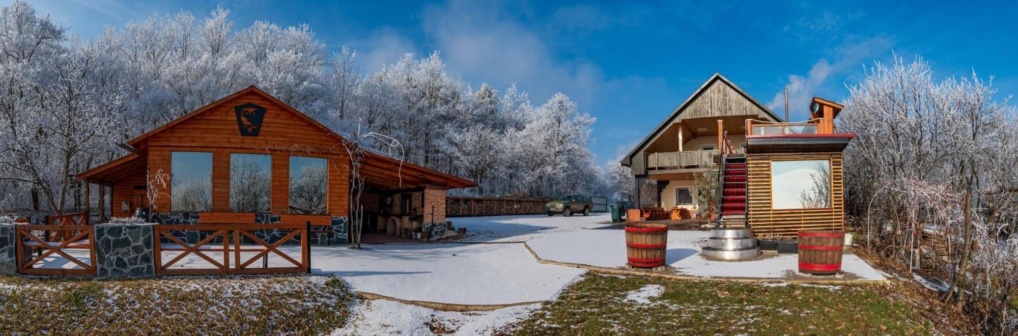 Baglyas Vendégház Villa Edelény Kültér fotó