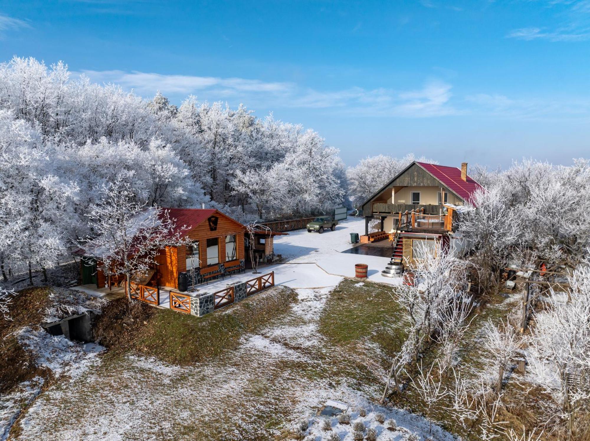 Baglyas Vendégház Villa Edelény Kültér fotó