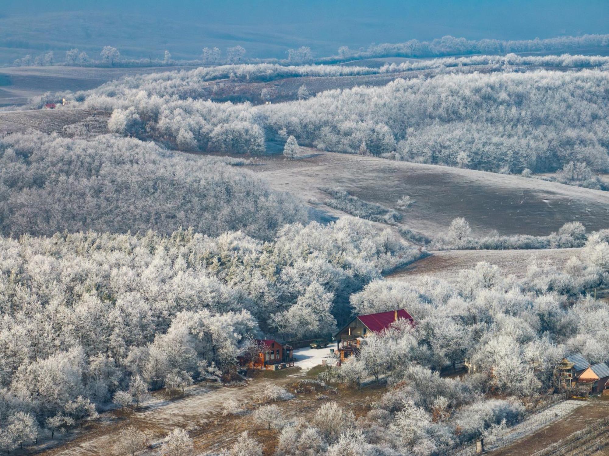 Baglyas Vendégház Villa Edelény Kültér fotó